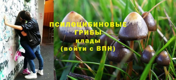 соль ск Беломорск