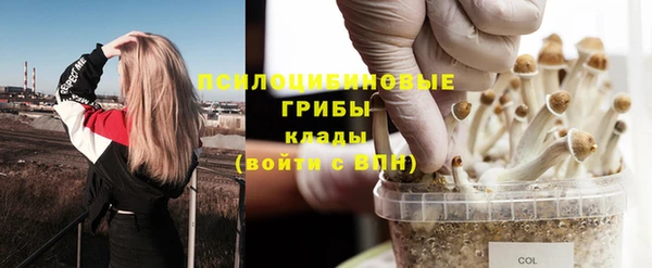 соль ск Беломорск