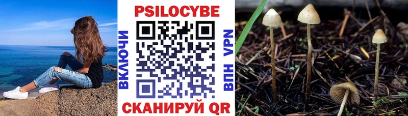 как найти закладки  МЕГА ССЫЛКА  Галлюциногенные грибы мицелий  Губкинский 