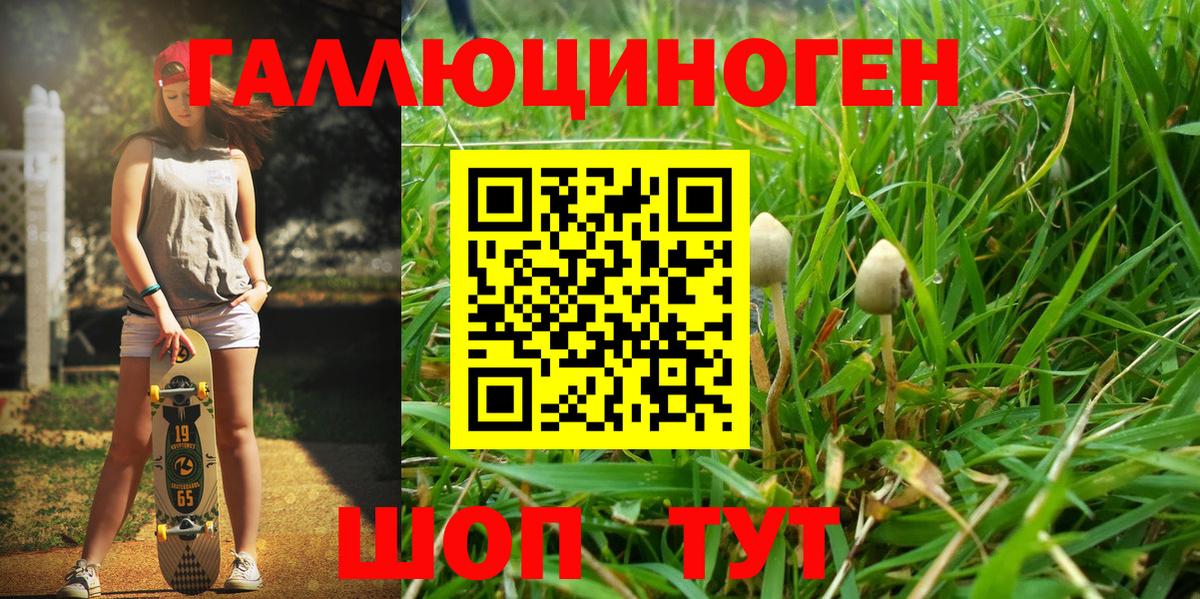 Губкинский  Псилоцибиновые грибы Magic Shrooms  Галлюциногенные грибы GOLDEN TEACHER  Вход с VPN 