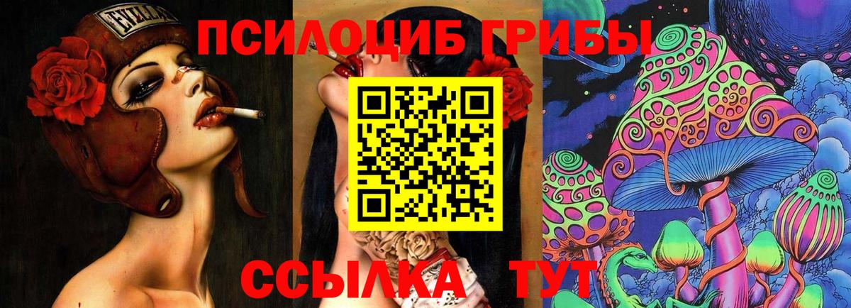 Псилоцибиновые грибы Cubensis Губкинский