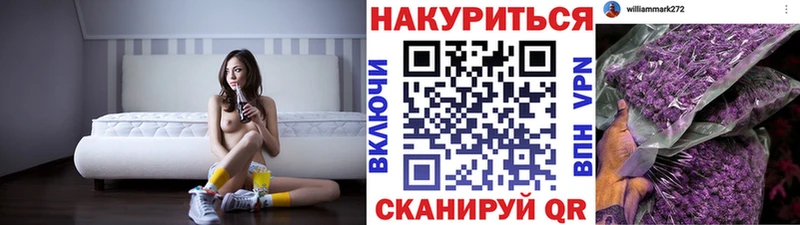что такое   Губкинский  Шишки марихуана ГИДРОПОН 